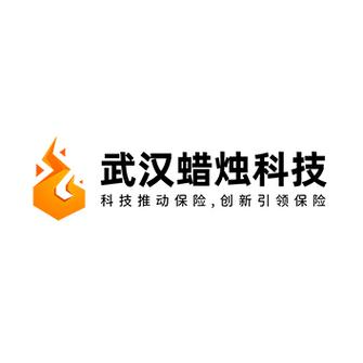 武漢蠟燭科技 照亮數字未來的網絡技術服務先鋒